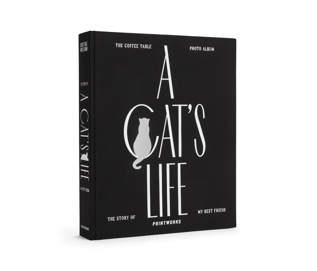 Álbum De Fotos - Une Vie De Chat