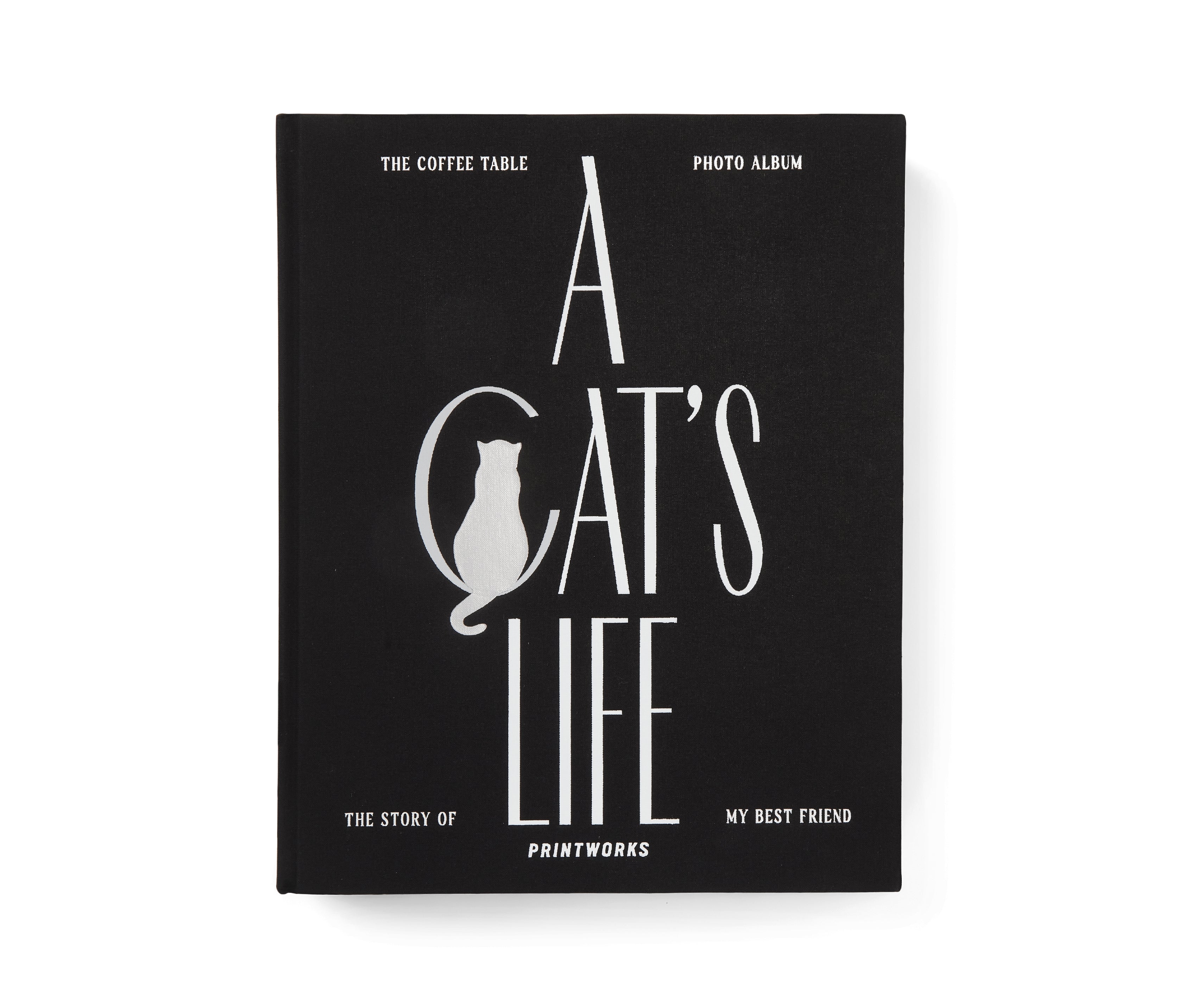 Álbum De Fotos - Une Vie De Chat