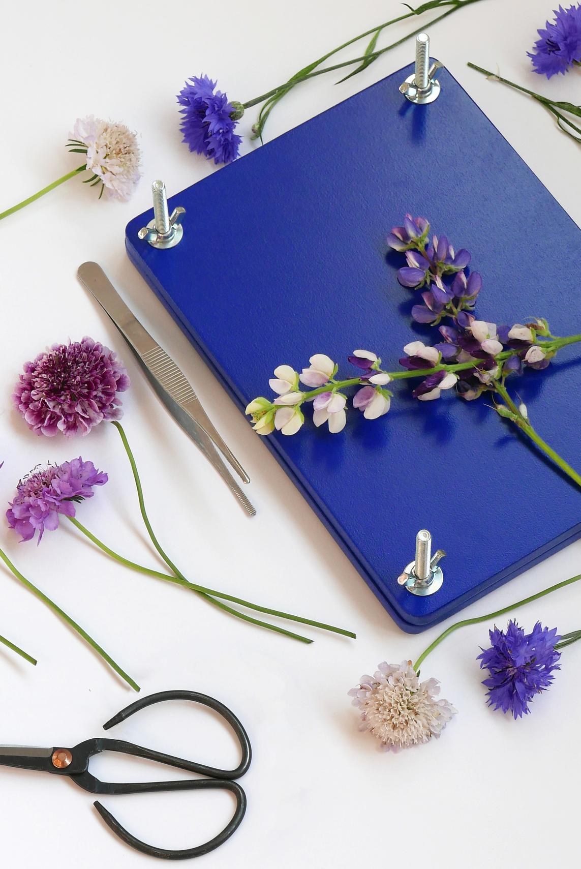 Flower Press Kit
