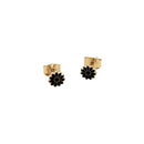 Puces Mini Margherita - Black - Gold