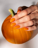 Pumpkin UV