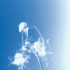 Open Up - 6 Universal Wine Glasses - 40cl - Chef&Sommelier