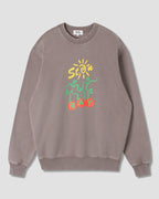 Ray Vine Crew - Shale