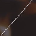 Ball Chain Bracelet In 375/1000 White Gold
