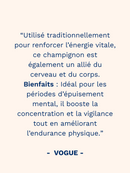 rea french mush cordyceps