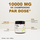 French Mush compléments alimentaires à base d'extraits de champignons médicinaux biologiques fabriqués en France Le Reishi Bio - poudre -