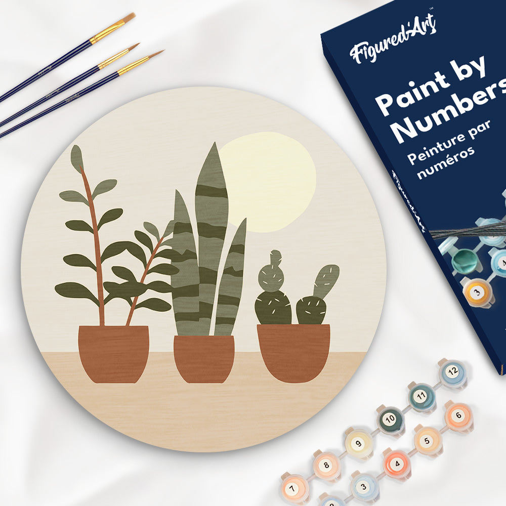 Peinture Par Numéro Sur Disque En Bois - Plantes Grasses