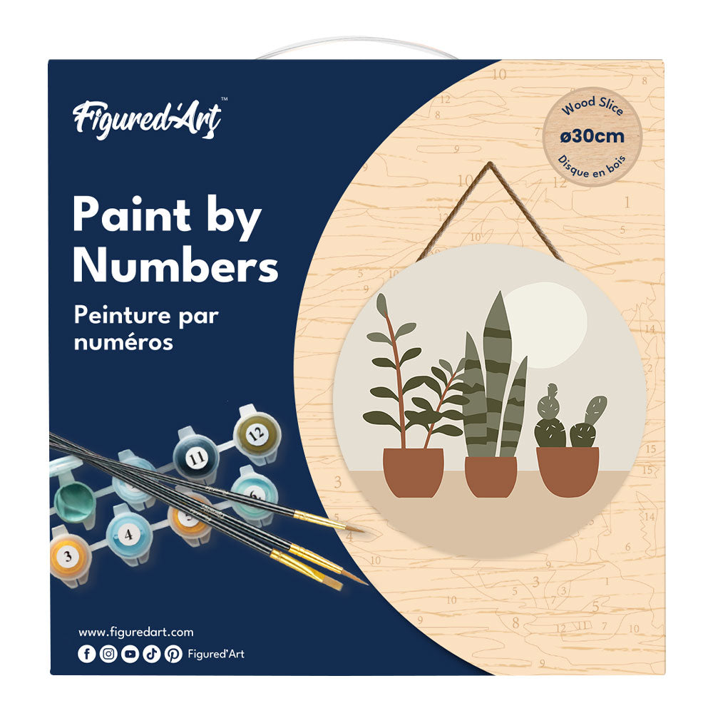 Peinture Par Numéro Sur Disque En Bois - Plantes Grasses