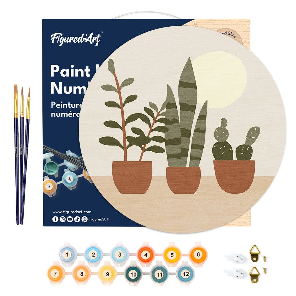 Peinture Par Numéro Sur Disque En Bois - Plantes Grasses