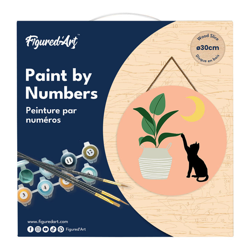 Peinture Par Numéros - Peinture Par Numéro Sur Disque En Bois - Chaton Et Plante Au Clair De Lune