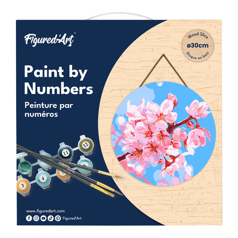 Peinture Par Numéro Sur Disque En Bois - Fleurs De Cerisier