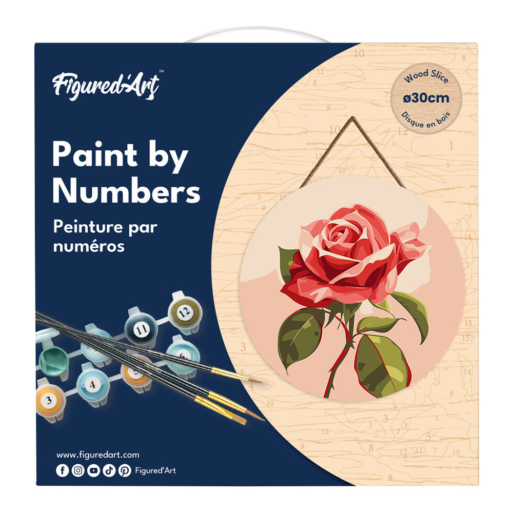Peinture Par Numéro Sur Disque En Bois - Rose Rouge