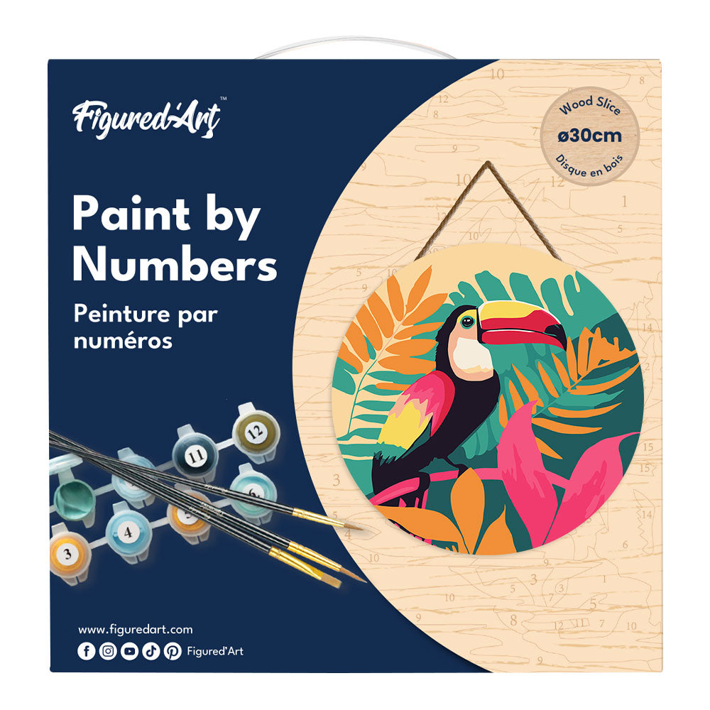 Peinture Par Numéro Sur Disque En Bois - Toucan Tropical