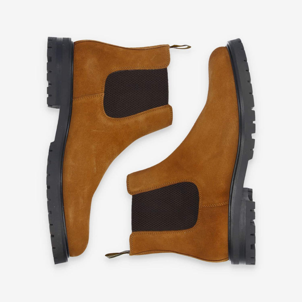 Edimbourg Chelsea M - Suede - Chestnut