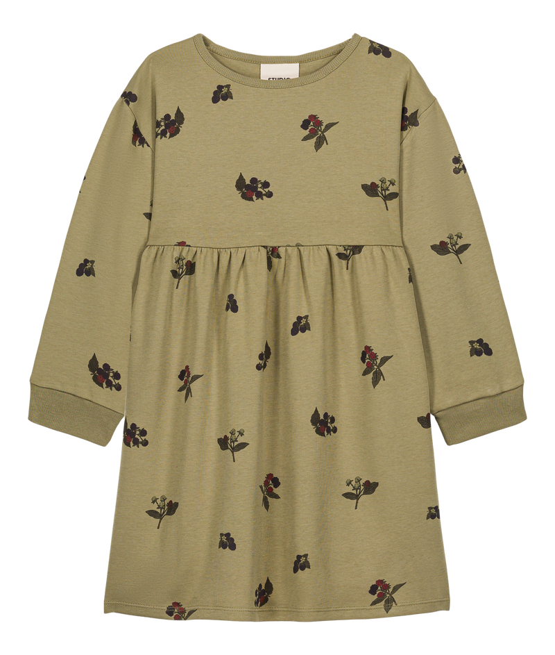 Vestido Hoy Green Aloe Blackberry