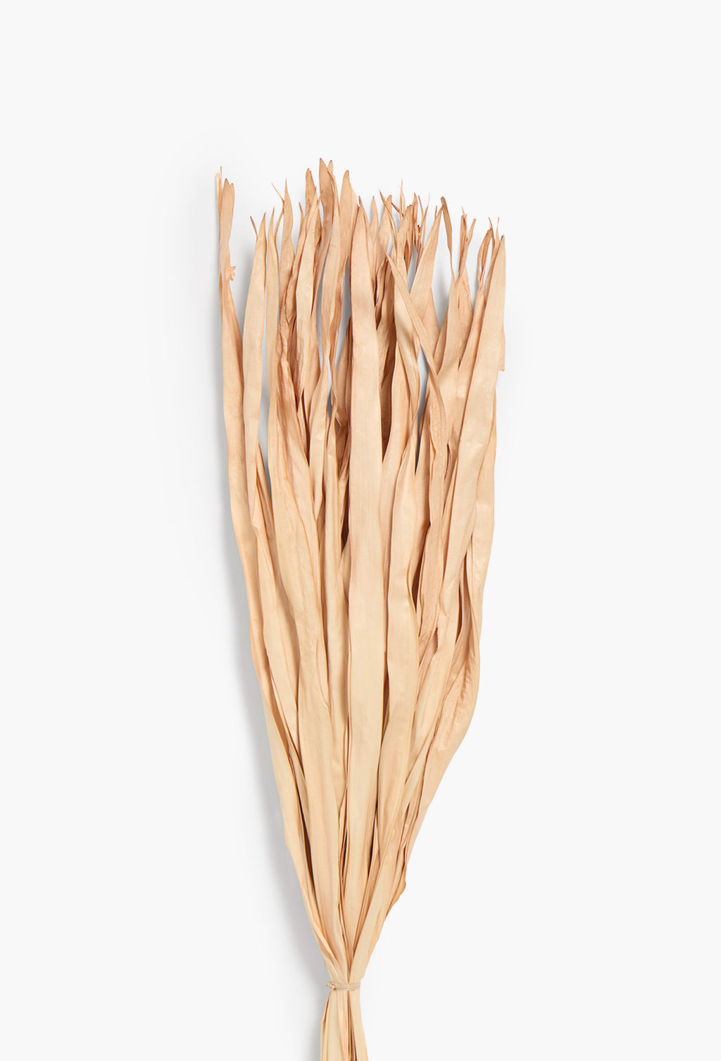Rotun Dried Flower Bouquet - Pink