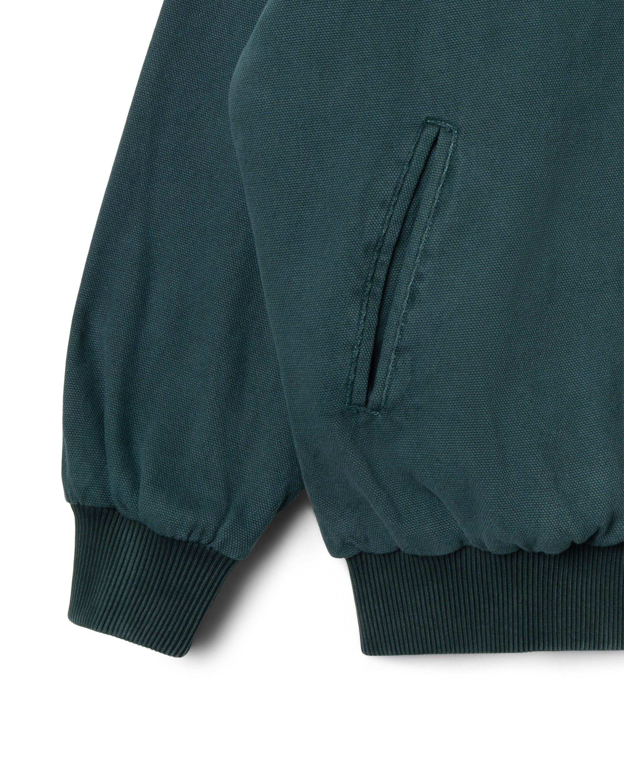 Bomber con cuello rudo - Lona verde botánica lavada