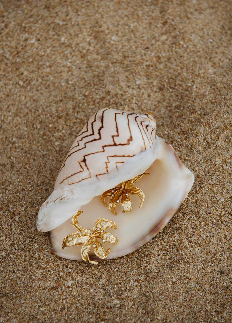 Boucles D'Oreilles Rufina