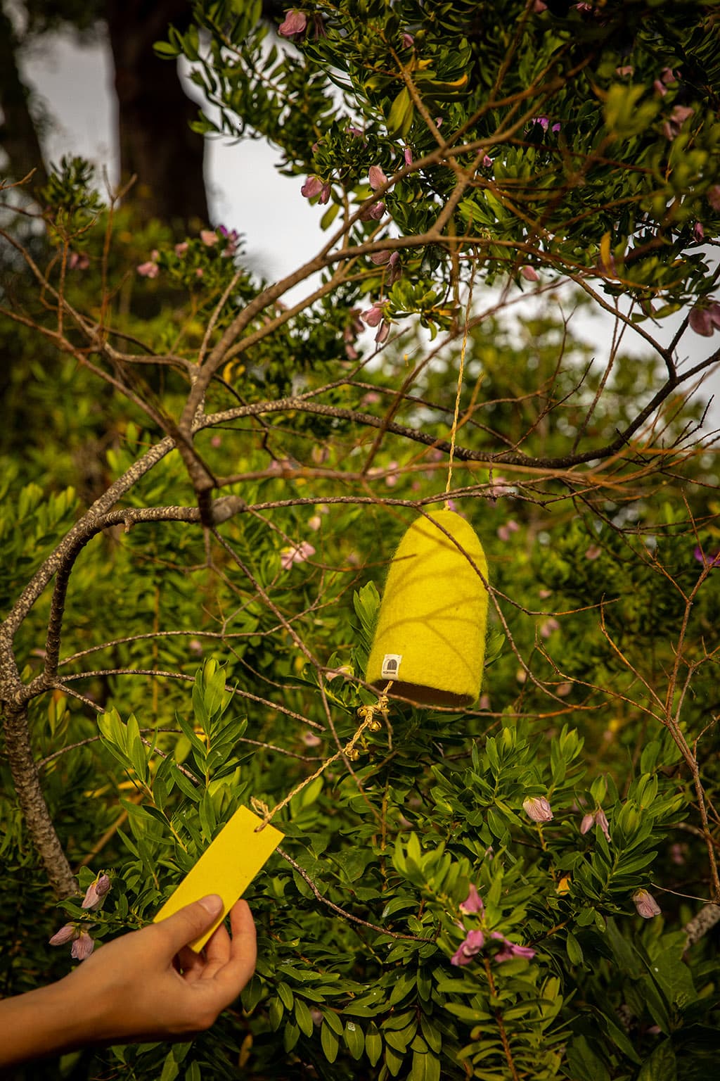 Cloches Rustic - Citron