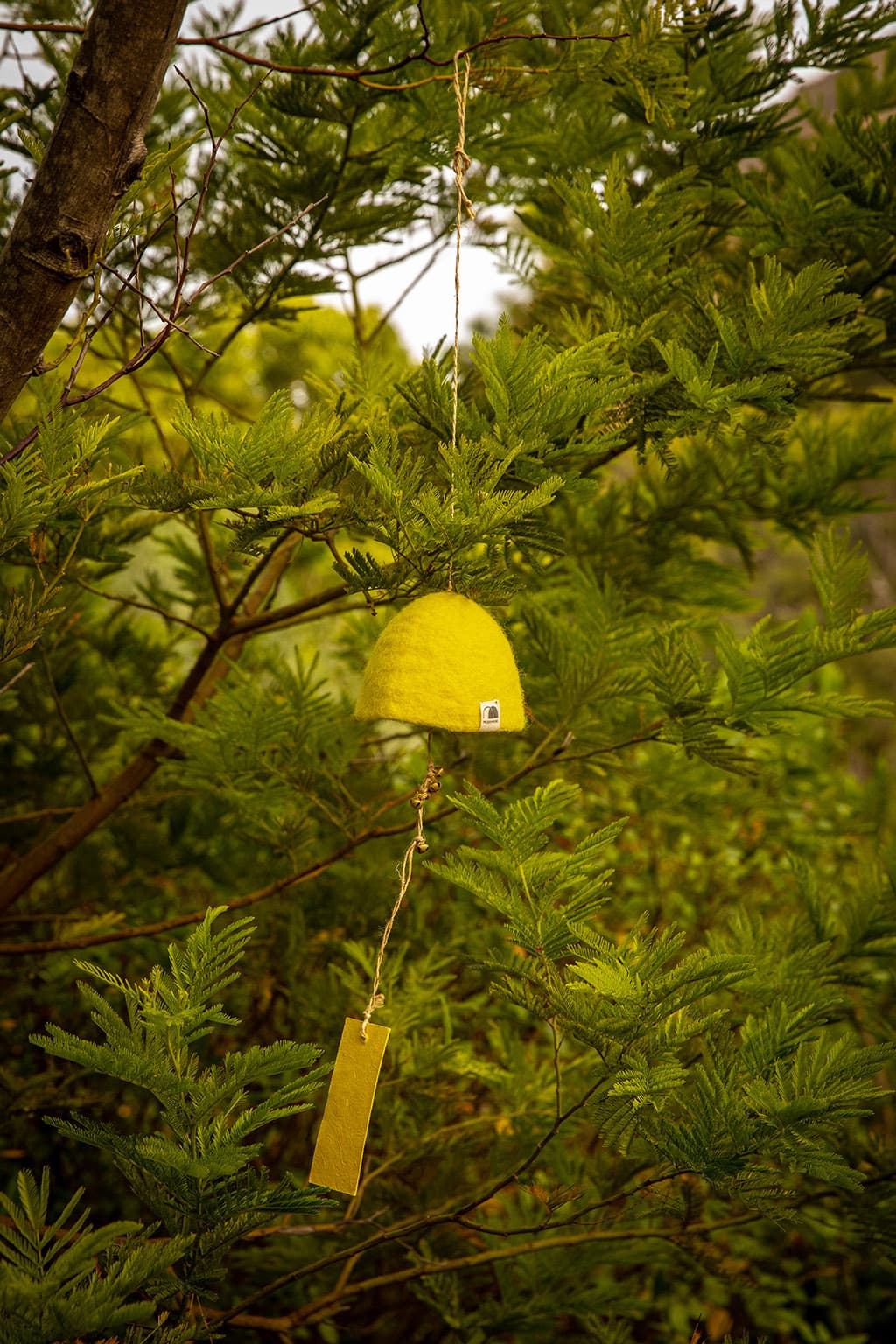 Cloches Rustic - Citron