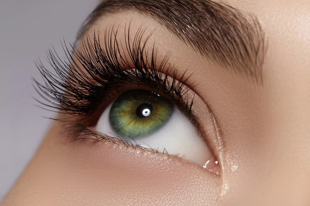 LashBotox