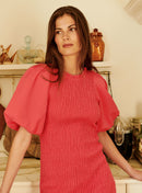 Petite Mendigote - Rilla Dress - Pink