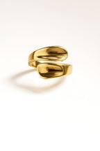 Anillo #18