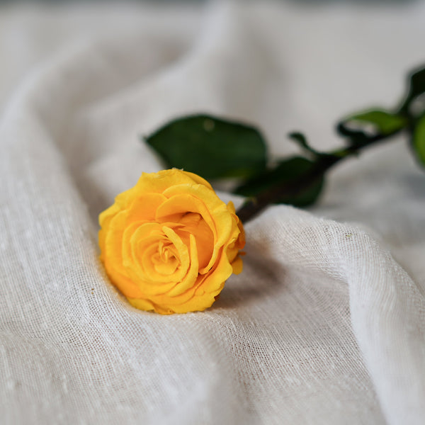 Saffron Preserved Rose