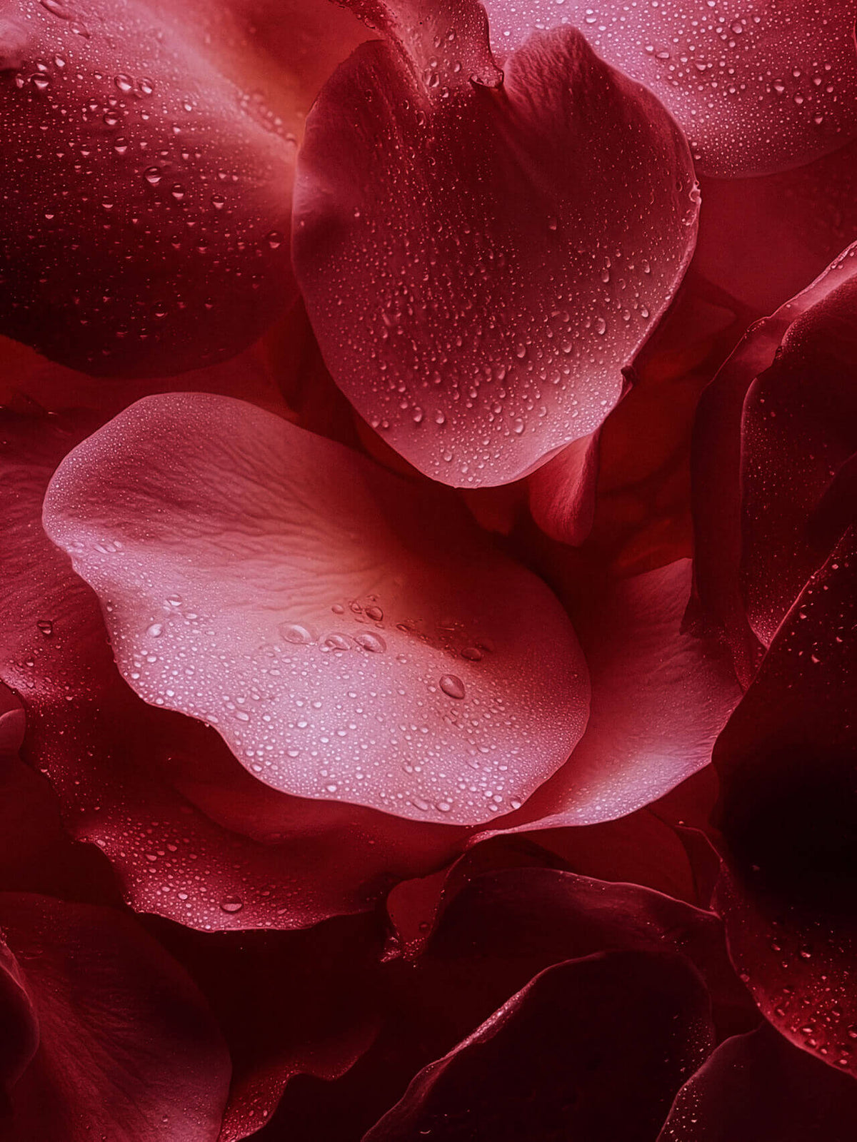 Rose Mystik - Deodorante Solido Profumato