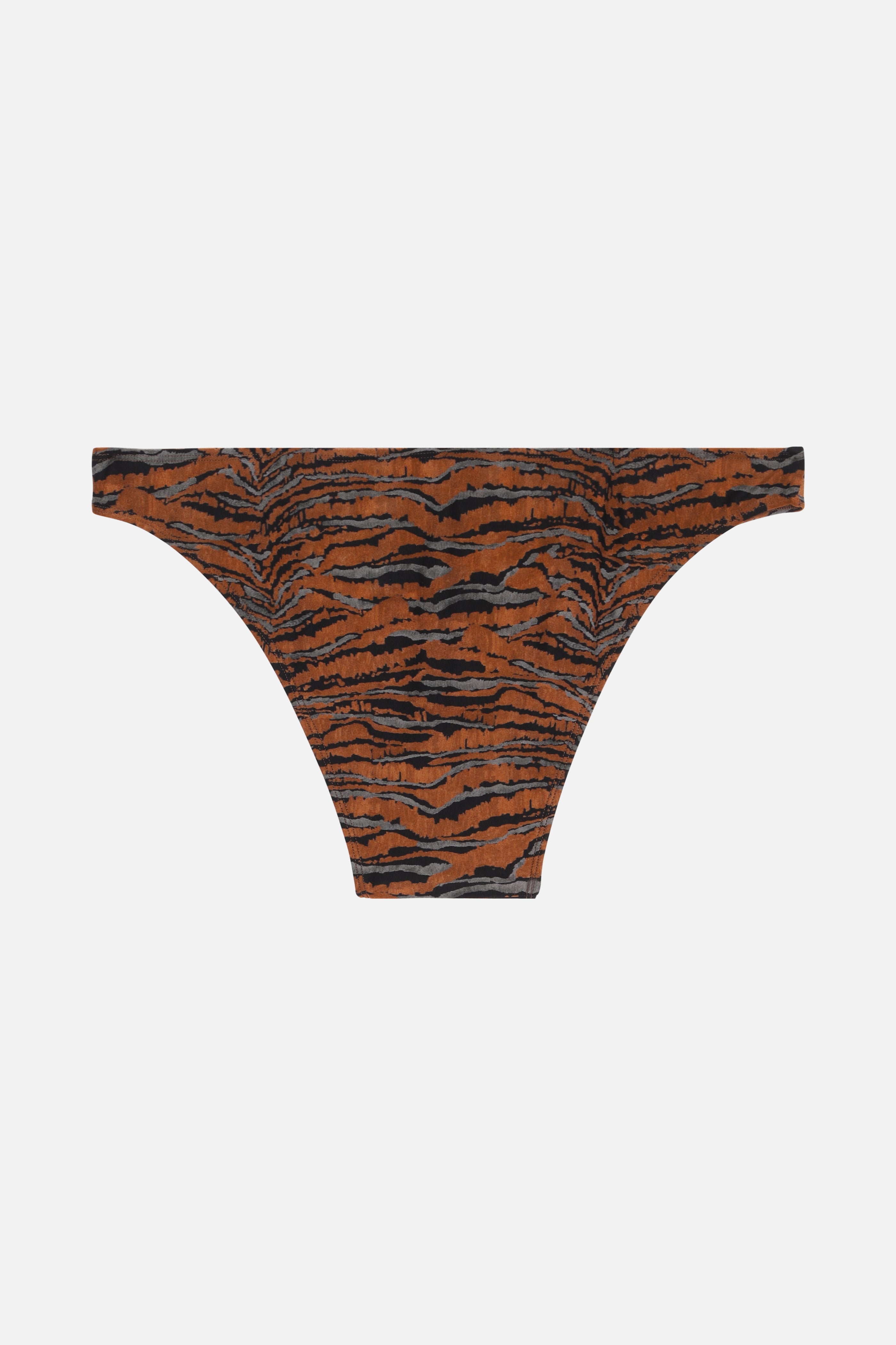 Braguita De Bikini Wind Lanscape - Caramel