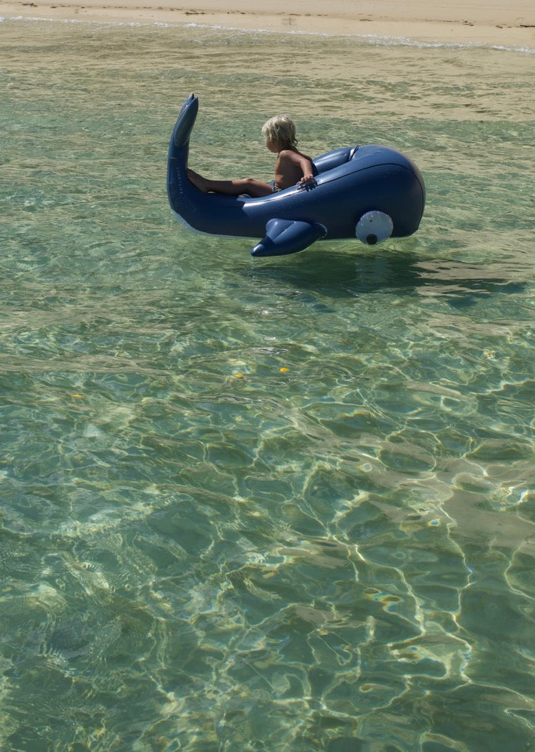 Flotteur Luxe Moby Dick - Marine