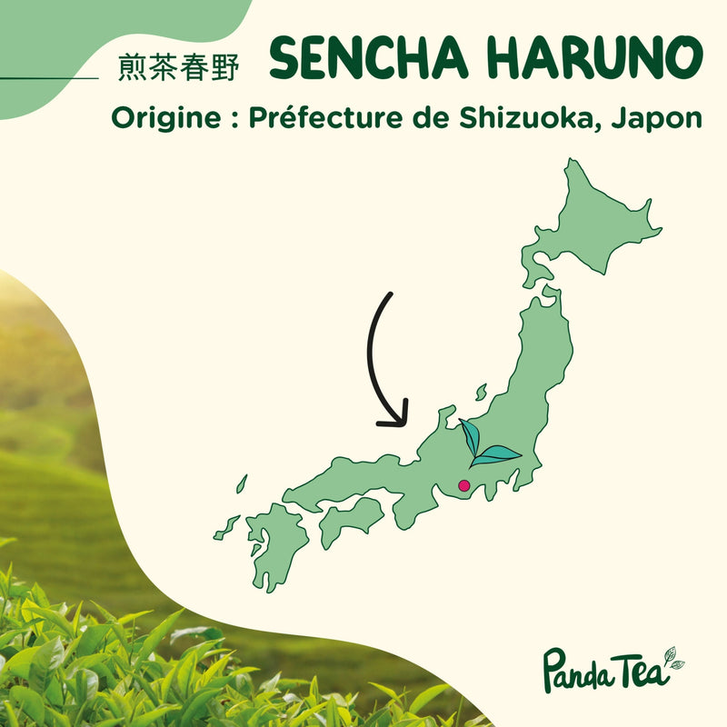 Sencha Haruno Bio
