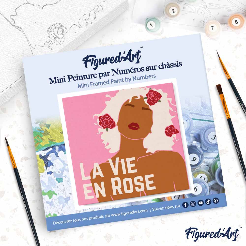 Mini Peinture Par Numéros 20X20Cm Avec Cadre La Vie En Rose