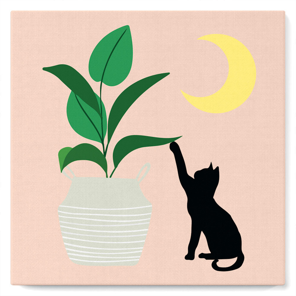 Mini Paint by Numbers 20x20cm with Frame Kitten and Plant in Moonlight