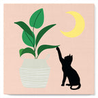 Mini Paint by Numbers 20x20cm with Frame Kitten and Plant in Moonlight