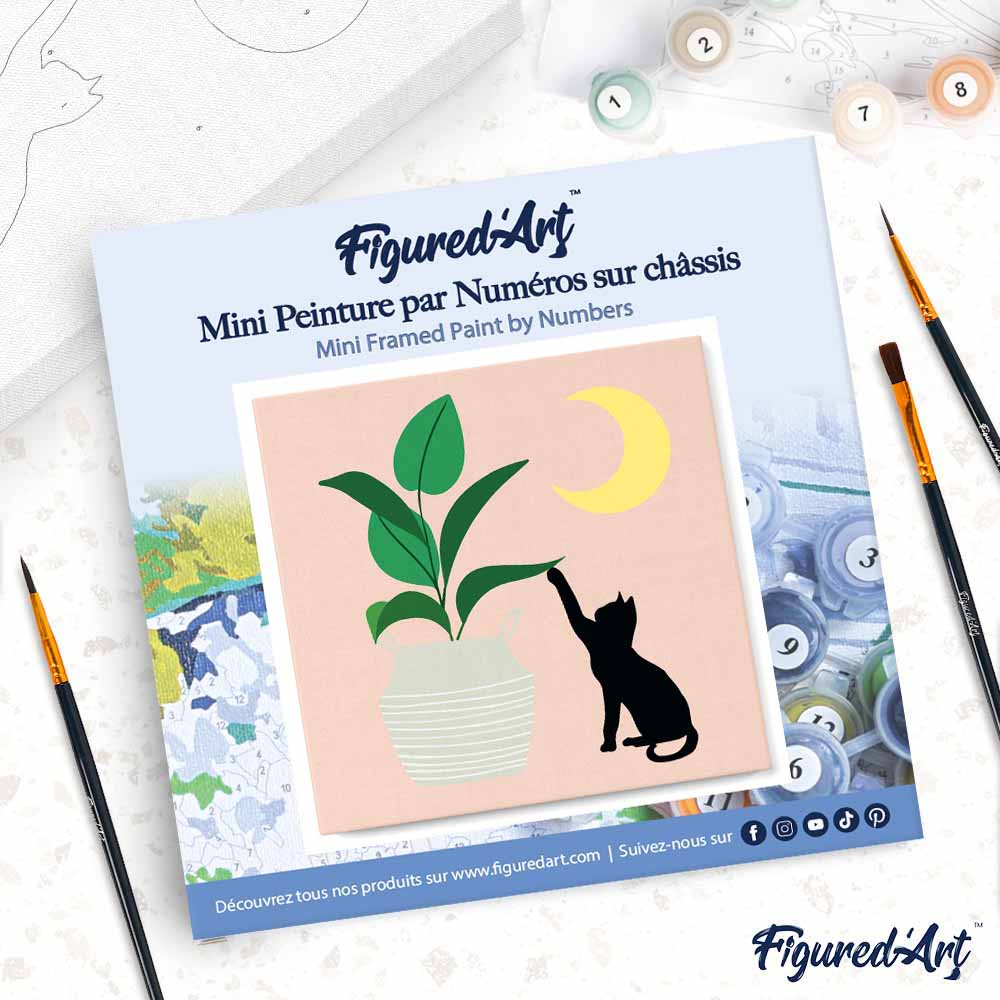 Mini Paint by Numbers 20x20cm with Frame Kitten and Plant in Moonlight