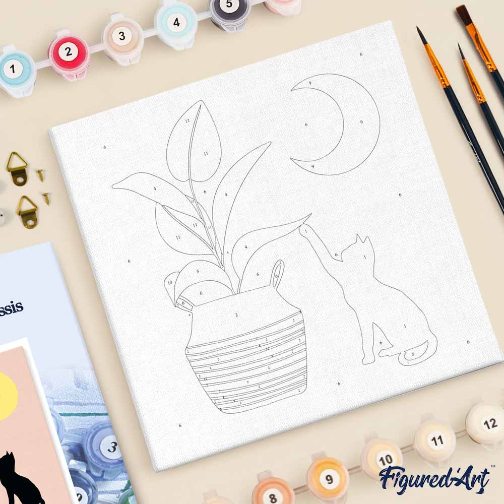 Mini Paint by Numbers 20x20cm with Frame Kitten and Plant in Moonlight
