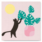 Mini Paint By Numbers 20X20Cm With Frame Kitten And Plant In The Sun
