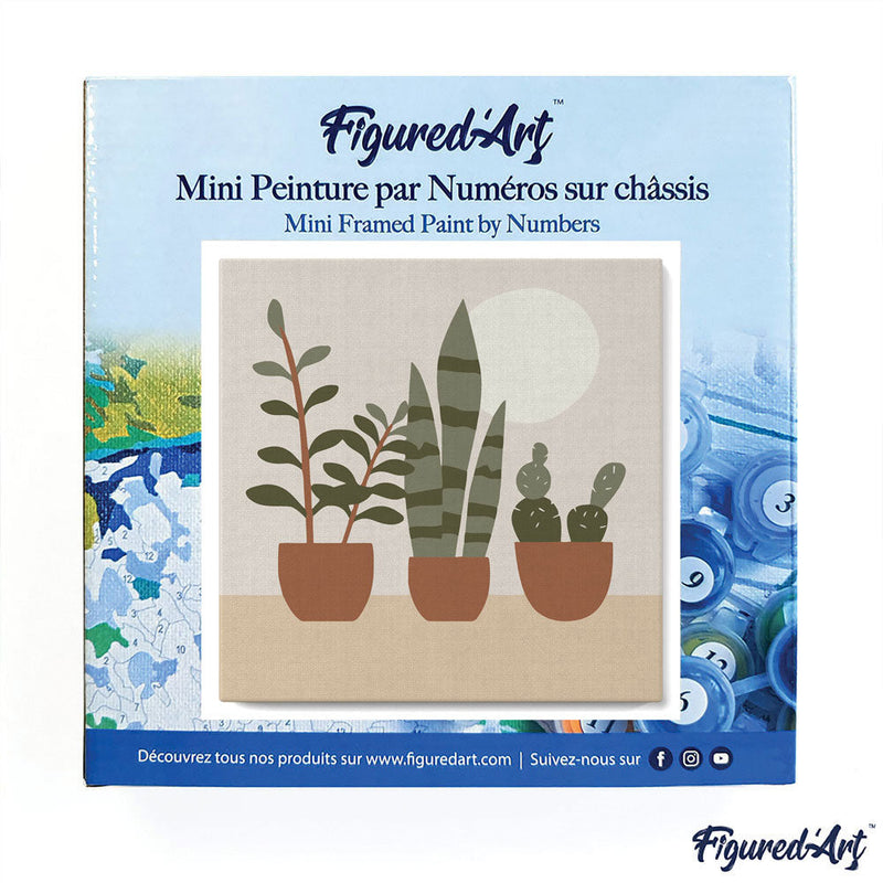 Mini Peinture Par Numéros 20X20Cm Avec Cadre Plantes Grasses
