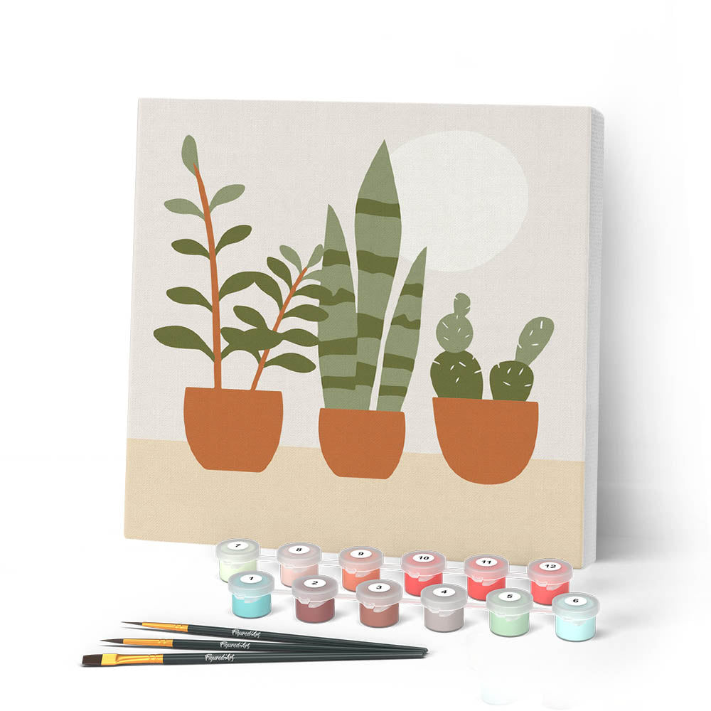 Mini Peinture Par Numéros 20X20Cm Avec Cadre Plantes Grasses