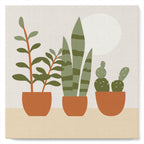 Mini Peinture Par Numéros 20X20Cm Avec Cadre Plantes Grasses