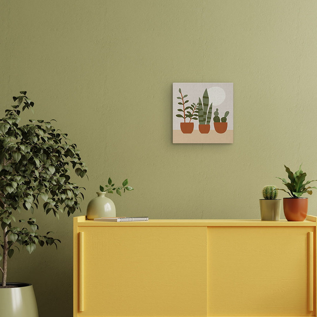 Mini Peinture Par Numéros 20X20Cm Avec Cadre Plantes Grasses