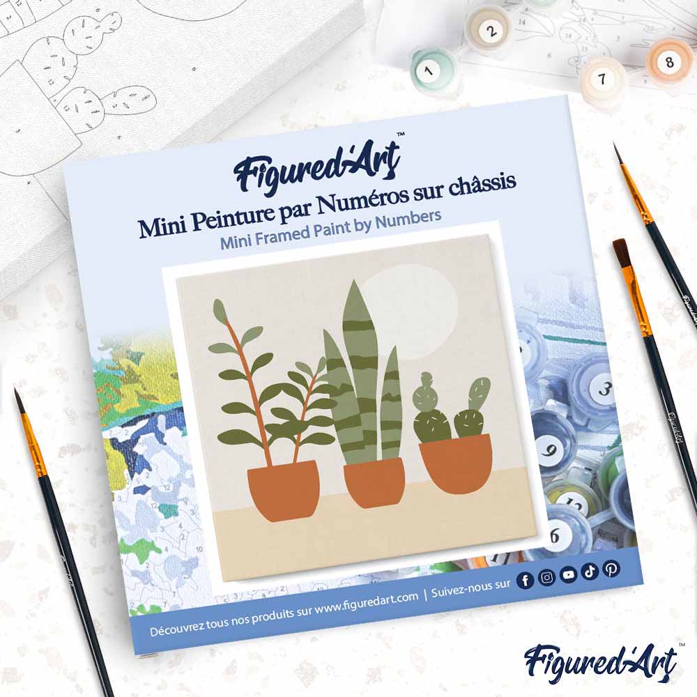 Mini Peinture Par Numéros 20X20Cm Avec Cadre Plantes Grasses