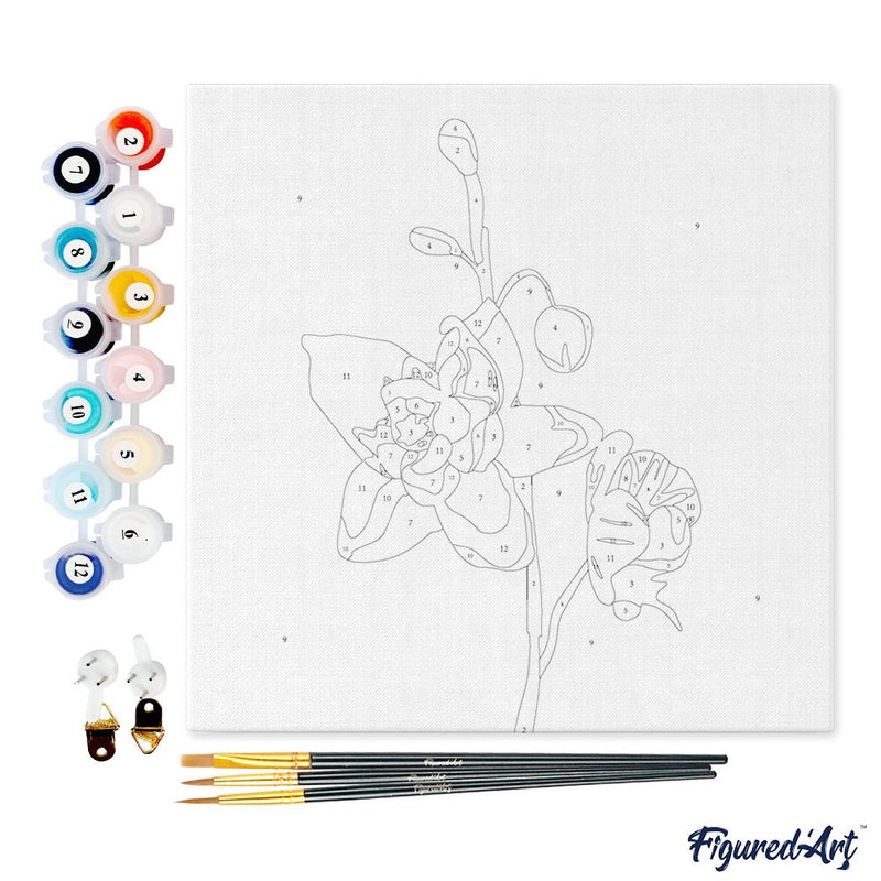 Mini Peinture Par Numéros 20X20Cm Avec Cadre Orchidée