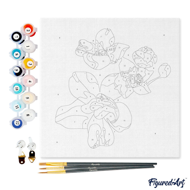 Mini Peinture Par Numéros 20X20Cm Avec Cadre Fleurs D'Orchidée