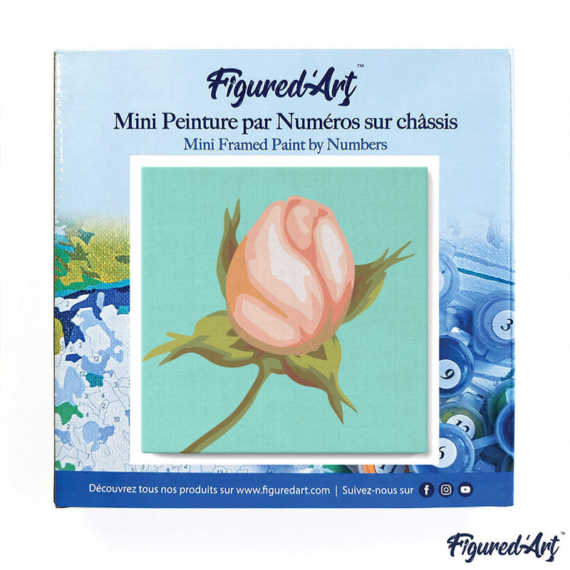Mini Peinture Par Numéros 20X20Cm Avec Cadre Fleur En Bouton