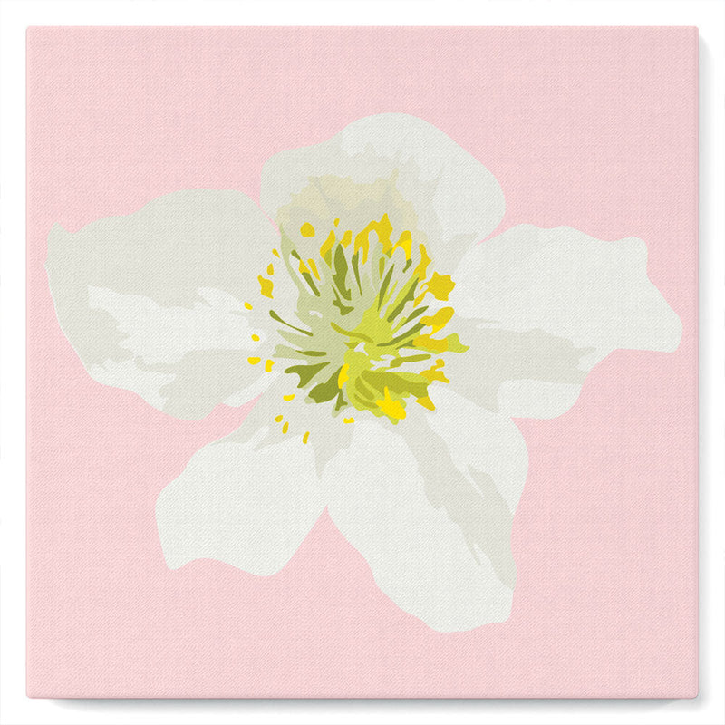 Mini Peinture par Numéros petit format 20x20cm avec cadre Fleur d'Eglantier