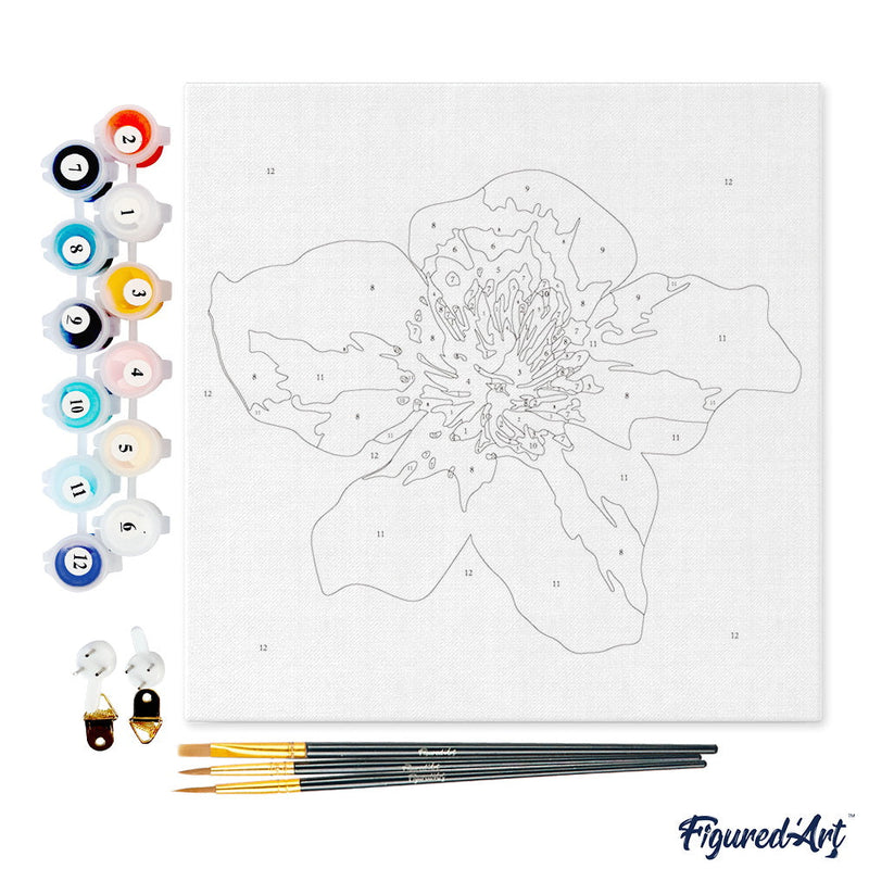 Mini Peinture Par Numéros 20X20Cm Avec Cadre Fleur D'Eglantier