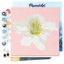 Mini Peinture Par Numéros 20X20Cm Avec Cadre Fleur D'Eglantier