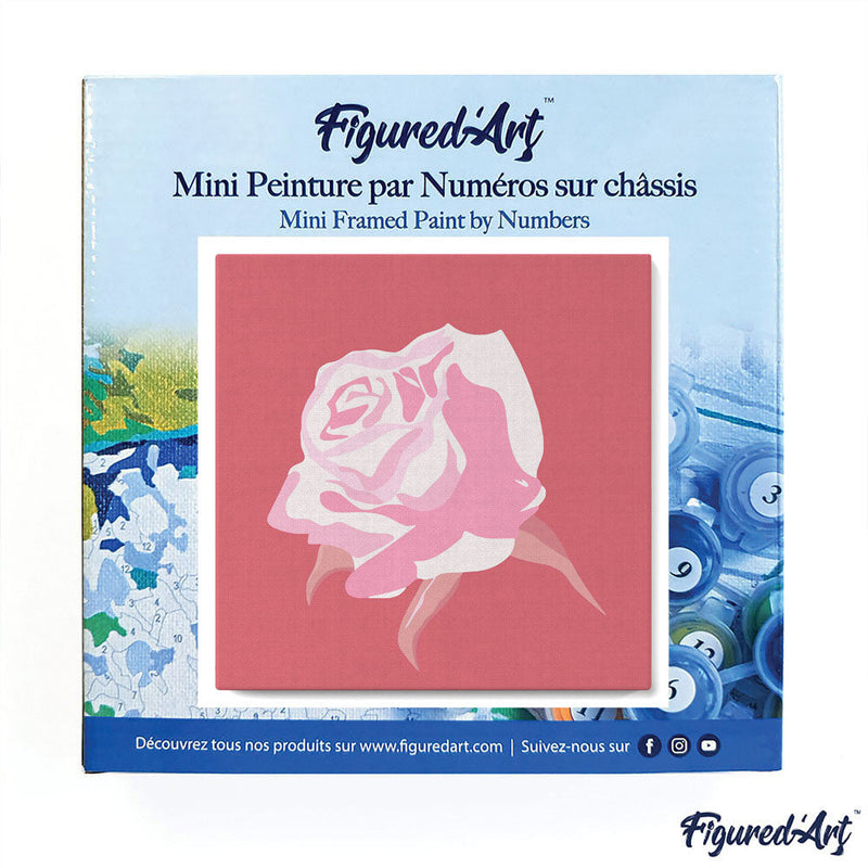Mini Peinture Par Numéros 20X20Cm Avec Cadre Corolle De Rose